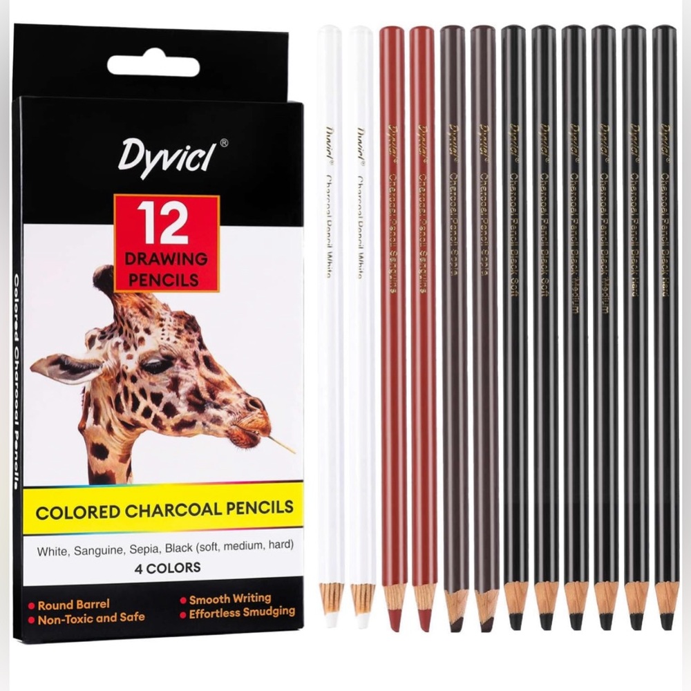 Dyvicl Colored Charcoal Pencils Drawing Set, 12 Pieces Black White